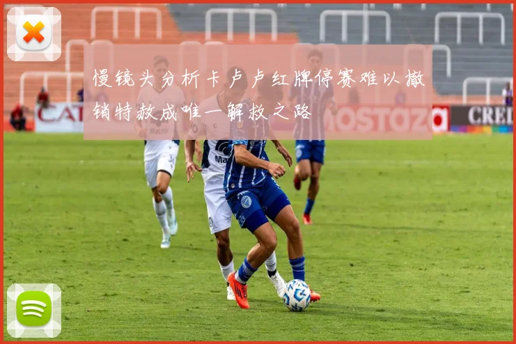 慢镜头分析卡卢卢红牌停赛难以撤销特赦成唯一解救之路